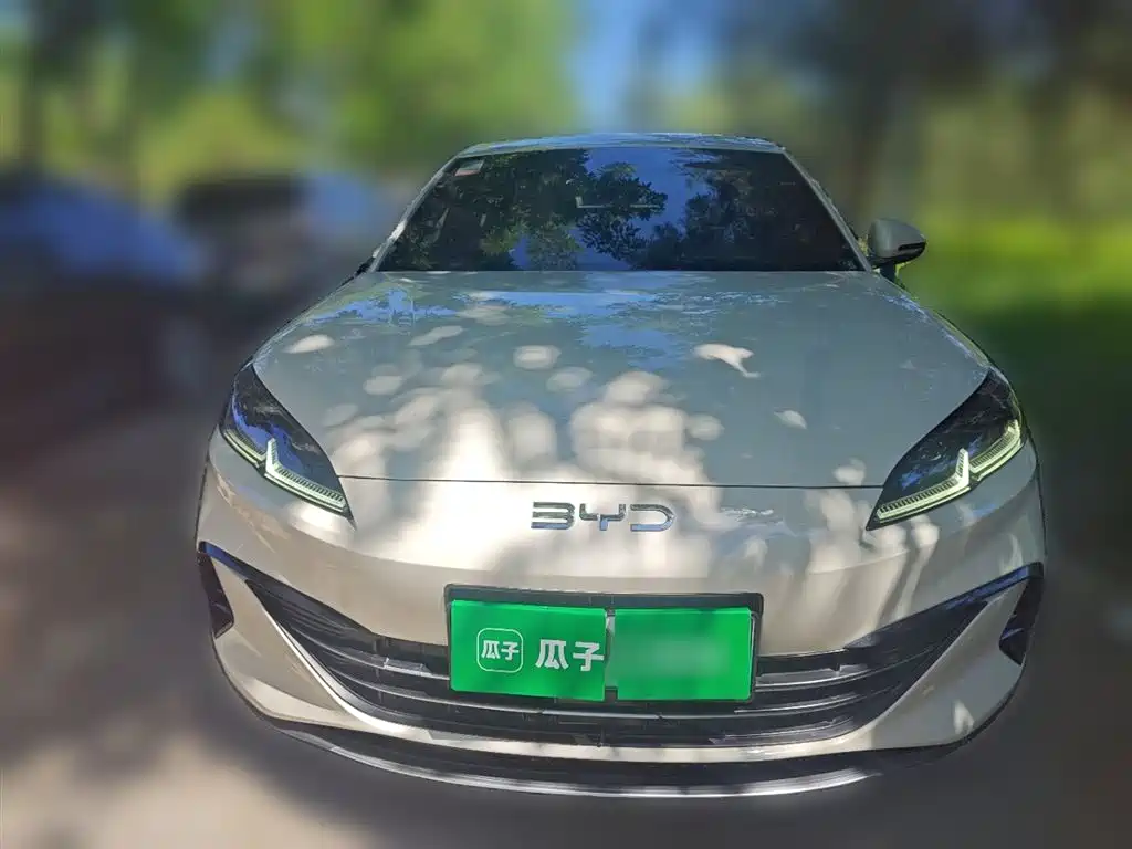 BYD Seal 06 New Energy 2024 DM-i 80KM Luxury фото 2