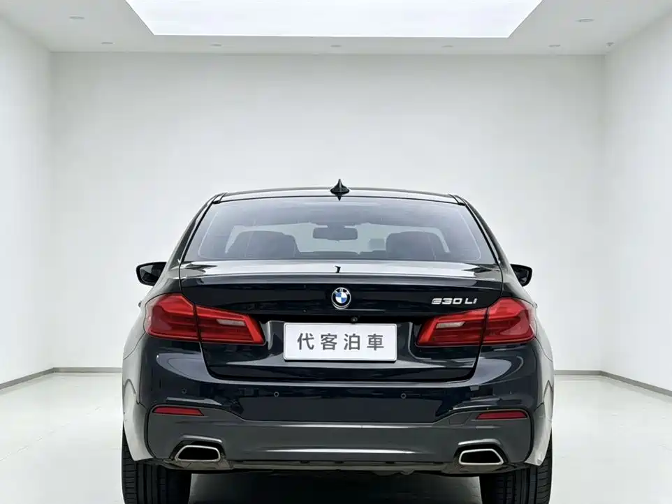 BMW 5 Series 2019 Facelift 530Li Premium M Sport Package фото 8