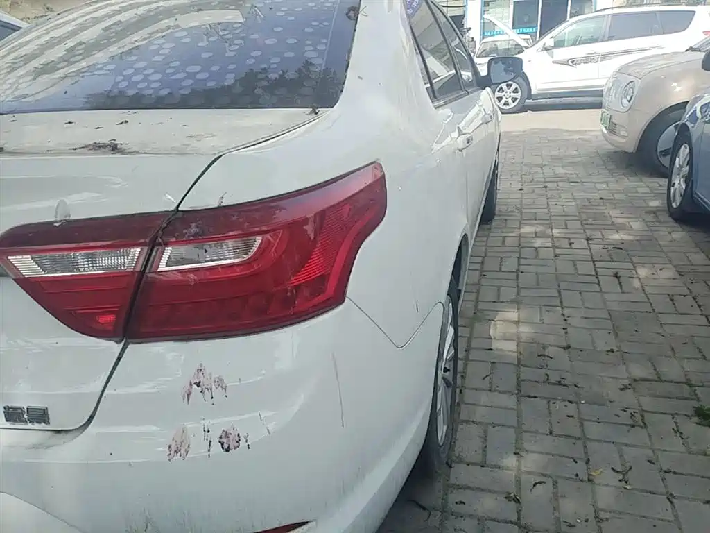 Фото 8 - Geely Vision
