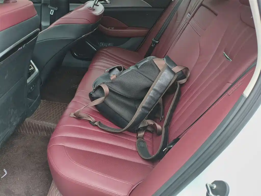 Hongqi H5 2024 2.0T Automatic Smart Connect Flag Smooth Edition фото 13