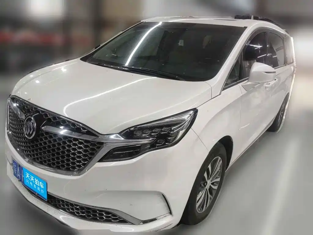 Buick Buick GL8 2022 ES Landmark 653T Comfort