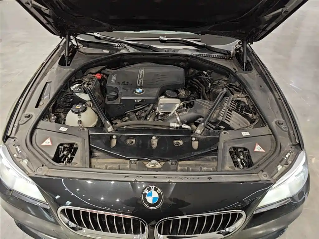 BMW 5 Series 2014 525Li Leading фото 20