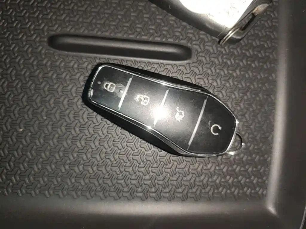 BYD SONGJIANG NEW ENERGY