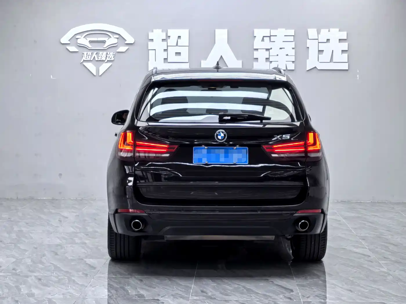 BMW X5 (Import) 2014 xDrive35i Leading фото 12
