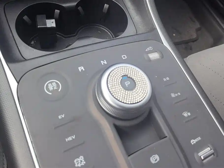 BYD Destroyer 05 2024 Glory Edition DM-i 55KM Luxury фото 16