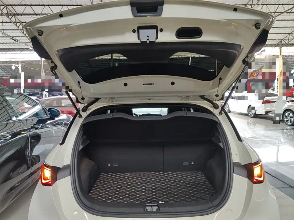 BYD Dolphin 2024 Glory Edition 420km Fashion Edition фото 19