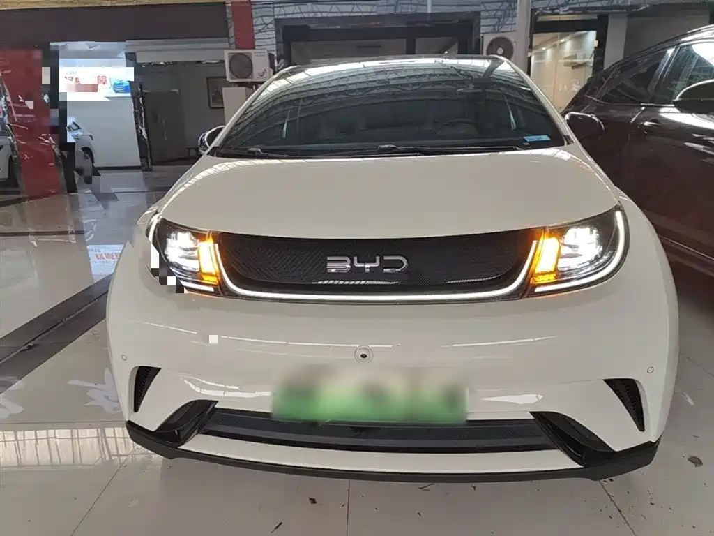 BYD Dolphin 2024 Glory Edition 420km Fashion Edition фото 3