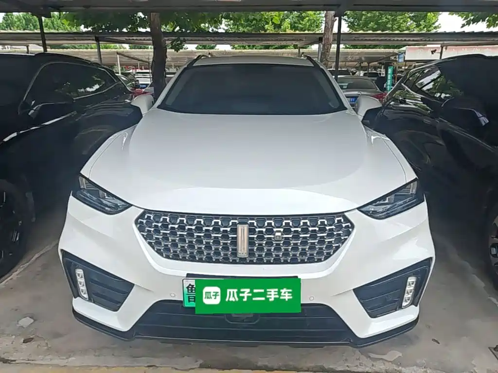 WEY VV7 New Energy 2020 2020 PHEV 2.0T Flagship Model