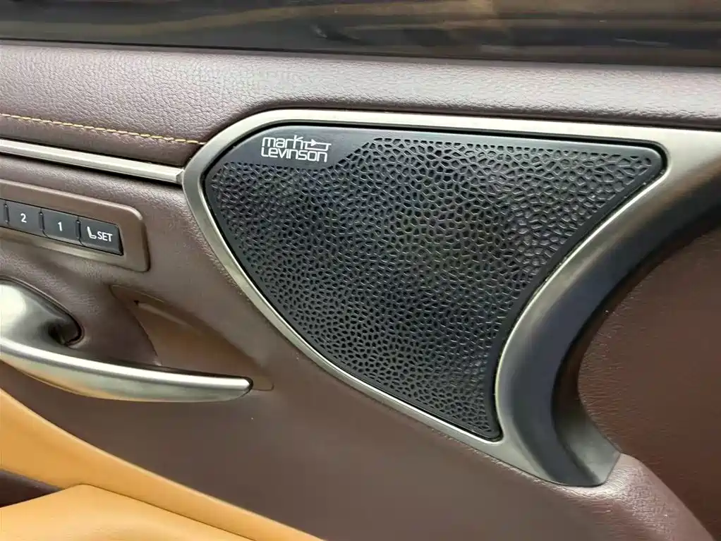 Lexus ES 2020 Model 300h Executive Edition China V фото 13