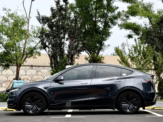 Tesla Model Y 2025 Long Range All-Wheel Drive — фото 3
