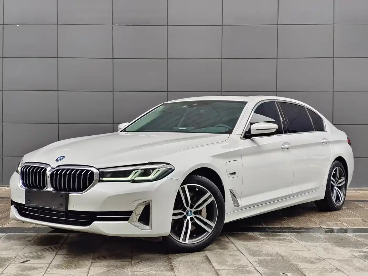 BMW 5 Series New Energy 2022 535Le Luxury Package