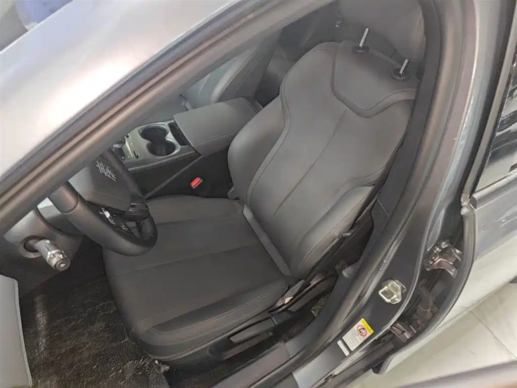 BYD Qin PLUS 2024 Glory Edition DM-i 55KM Leading фото 15