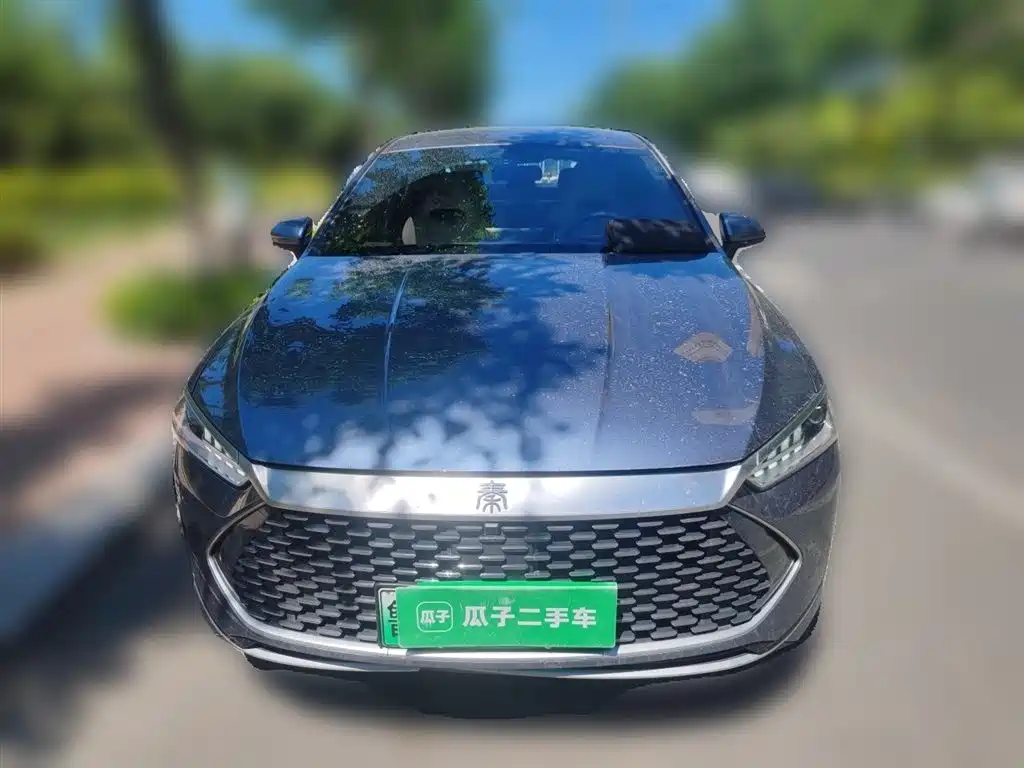 BYD Qin PLUS 2024 Glory Edition DM-i 55KM Leading фото 3