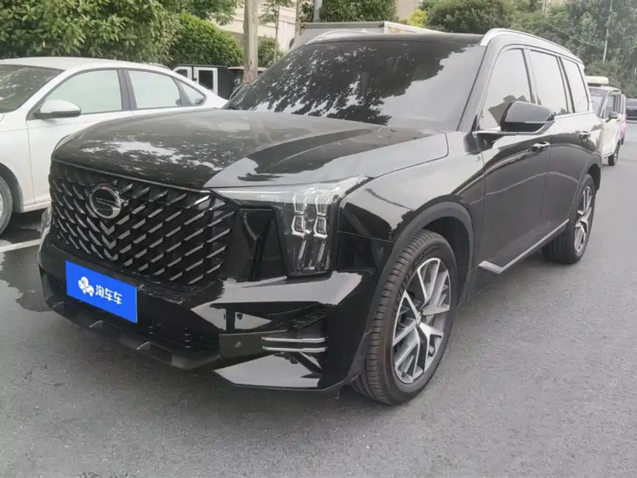 GAC Trumpchi Trumpchi GS8 2025 Pilot Series 2.0TGDI 2WD Luxury Edition 5-seater