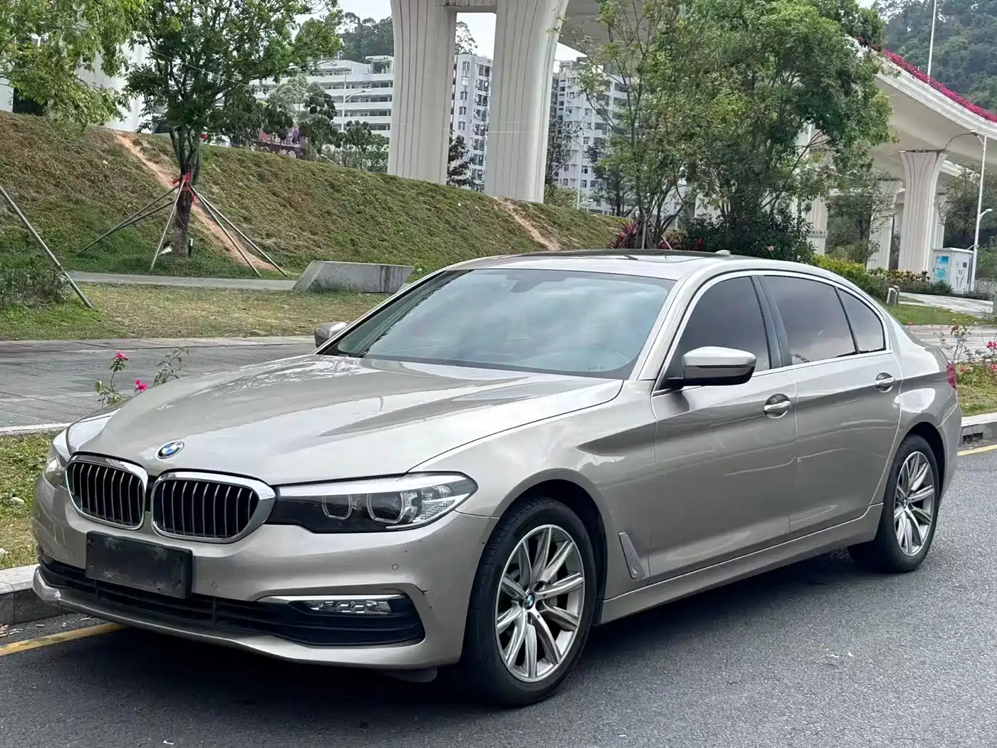 BMW 5 Series 2018 528Li Launch Special Edition