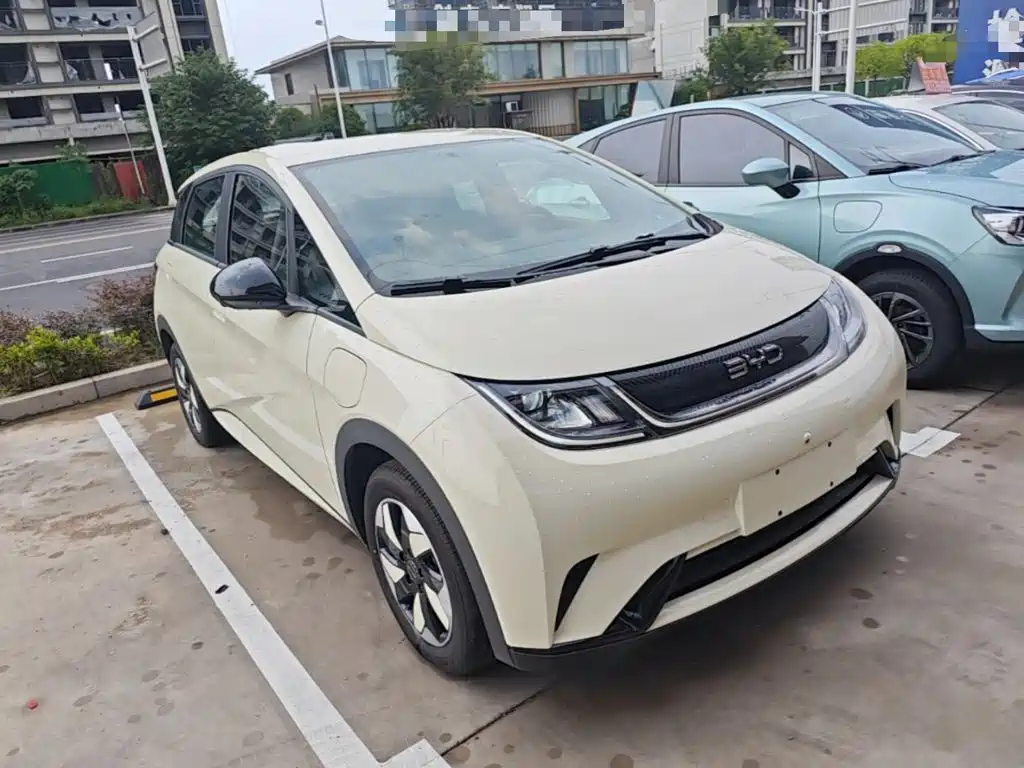 BYD Dolphin 2026 2025 420km Freedom Edition