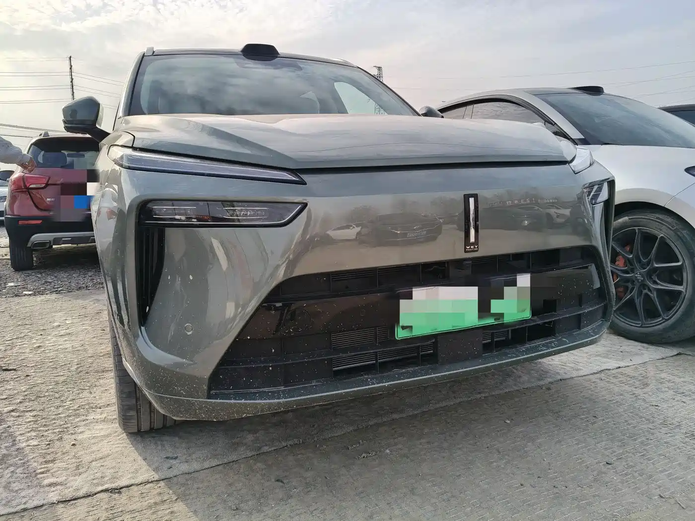 WEI PAI WEI BRAND BLUE MOUNTAIN