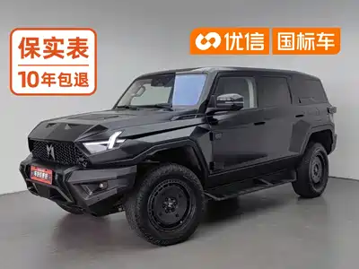 Mengshi 917