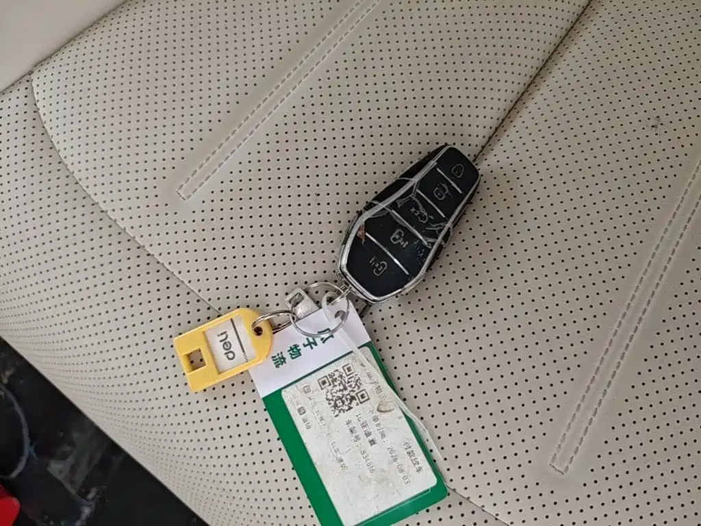 BYD Xia 2025 2025 DM-i 1.5T 180km Surpass Edition