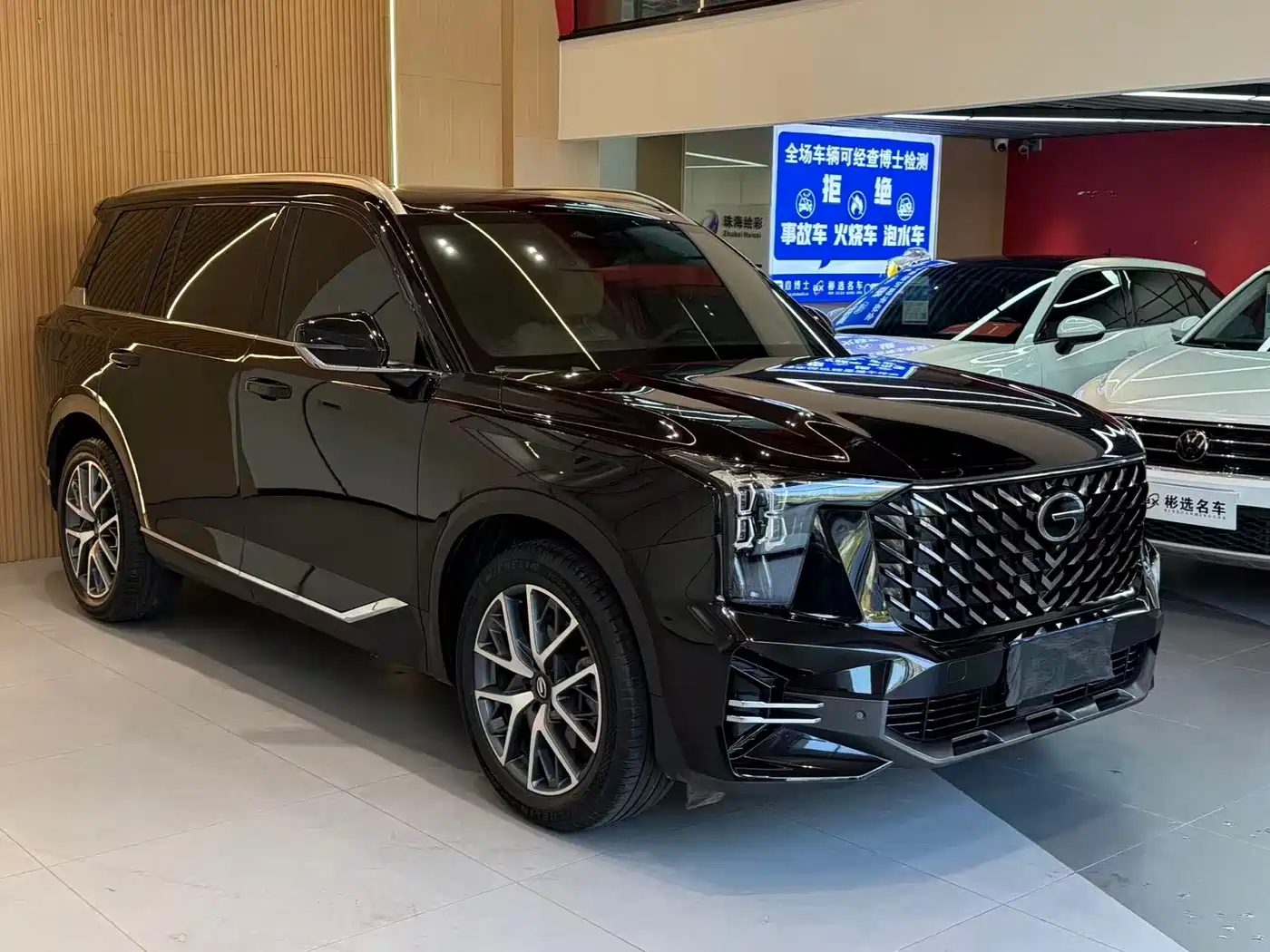 GAC Trumpchi Trumpchi GS8 2025 Pilot Series 2.0TGDI 2WD Luxury Edition 5-seater фото 3