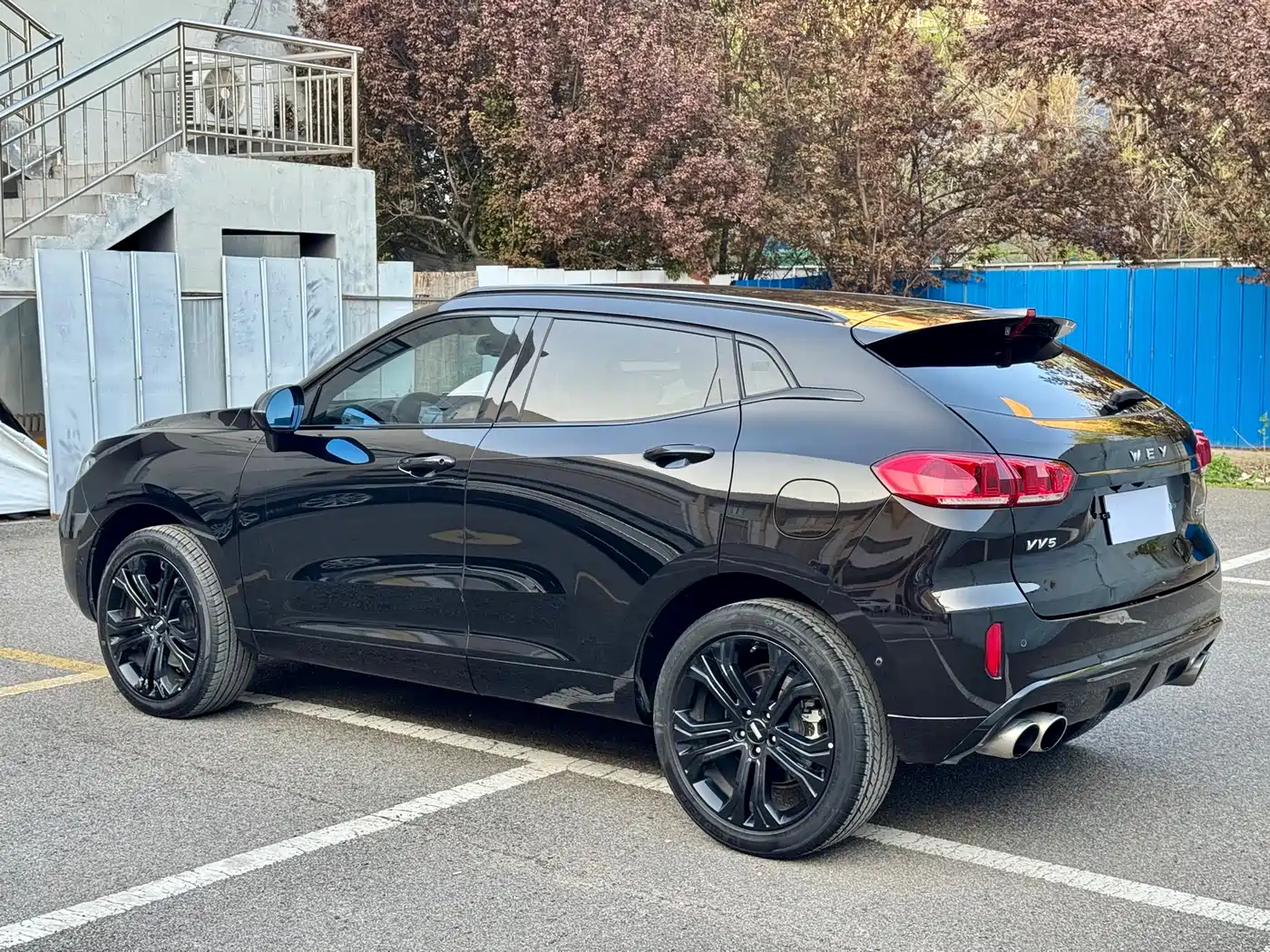 WEI PAI WEI BRAND VV5