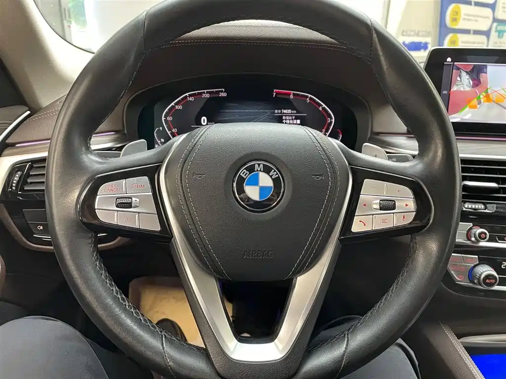 BMW 5 Series 2020 530Li xDrive Luxury Package фото 9