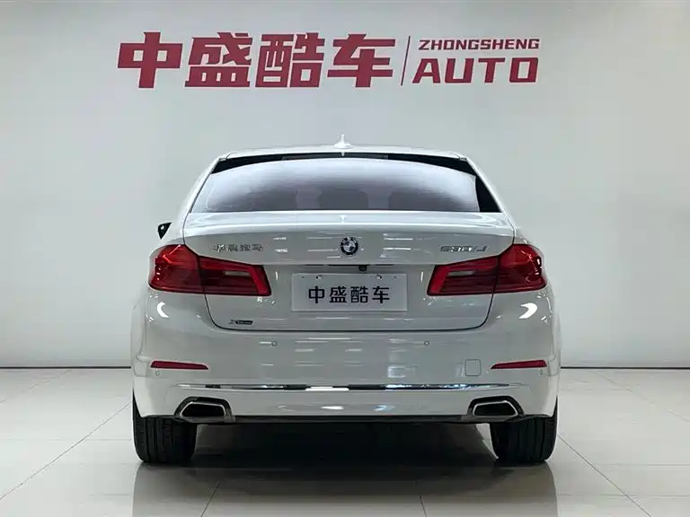 BMW 5 Series 2020 530Li xDrive Luxury Package фото 7