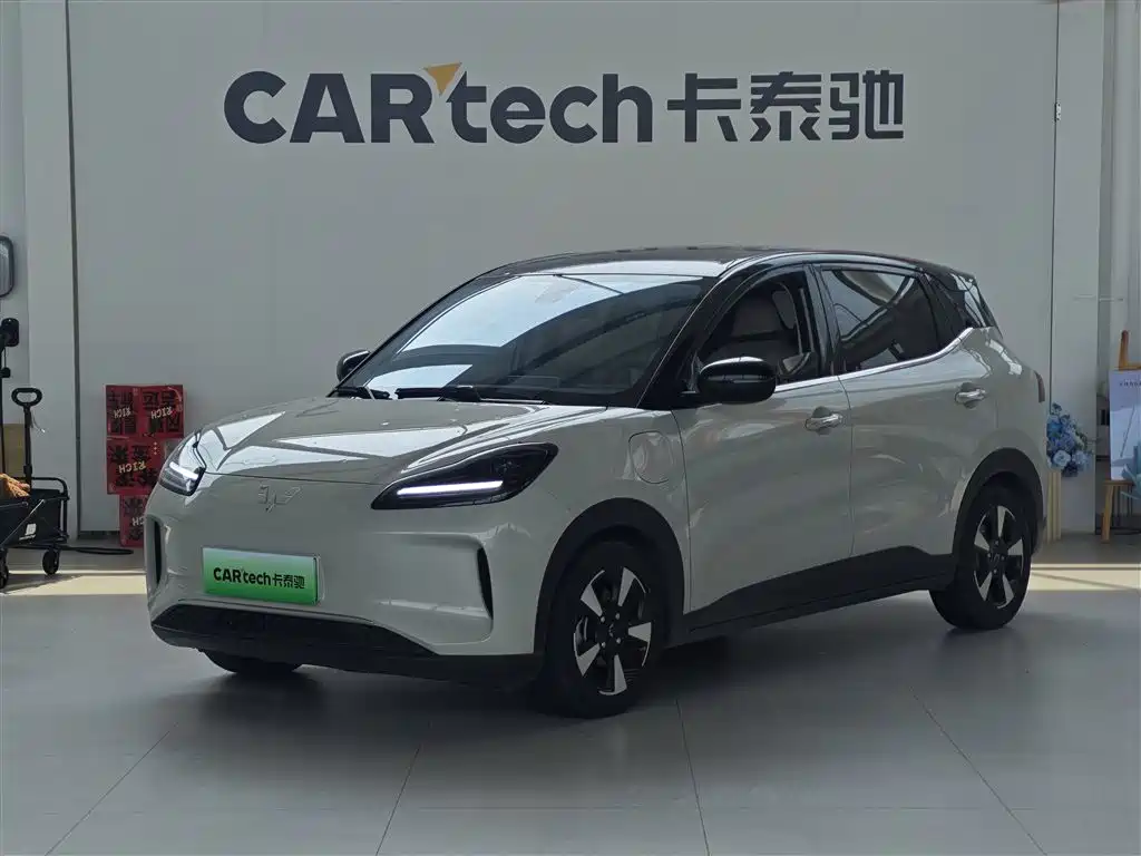  Wuling Motors Wuling Binguo PLUS 2024 401km Range 5-seater