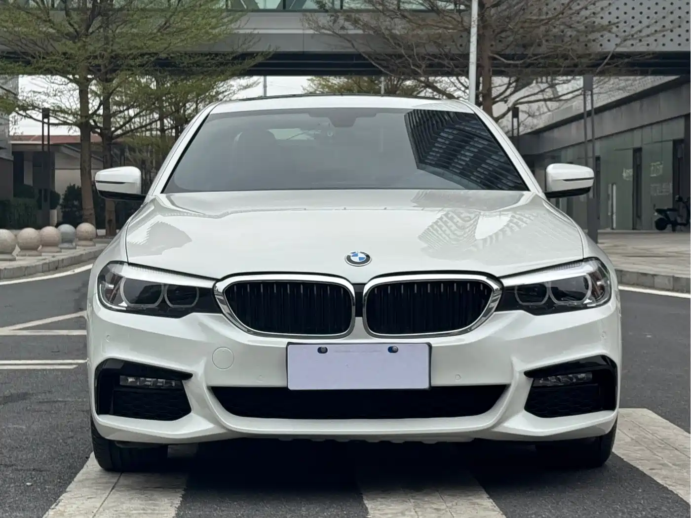 BMW 5 Series 2019 530Li Leading M Sport Package фото 2
