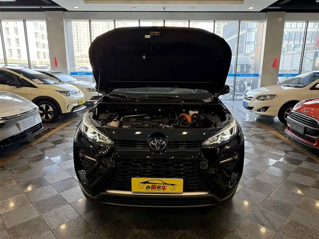 Toyota Wildlander 2023 Hybrid 2.5L E-CVT AWD Premium Edition фото 30