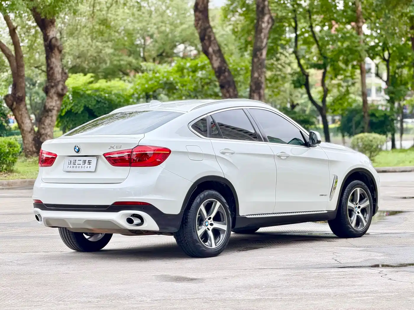 BMW X6 2015 xDrive35i Luxury Model фото 5