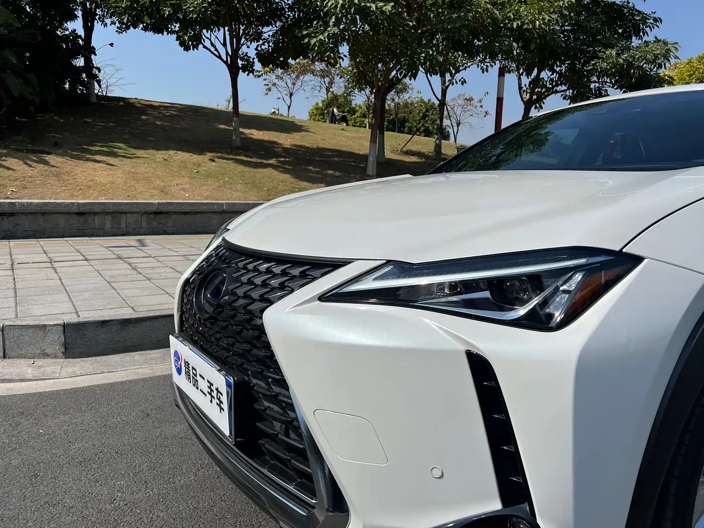 Lexus UX 2020 260h Explore Fun Edition China V фото 21