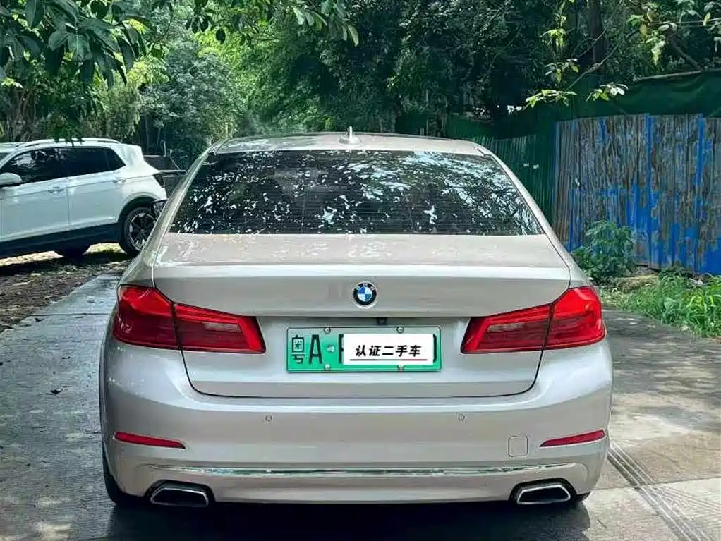 BMW 5 Series New Energy 2020 530Le Luxury Package фото 8