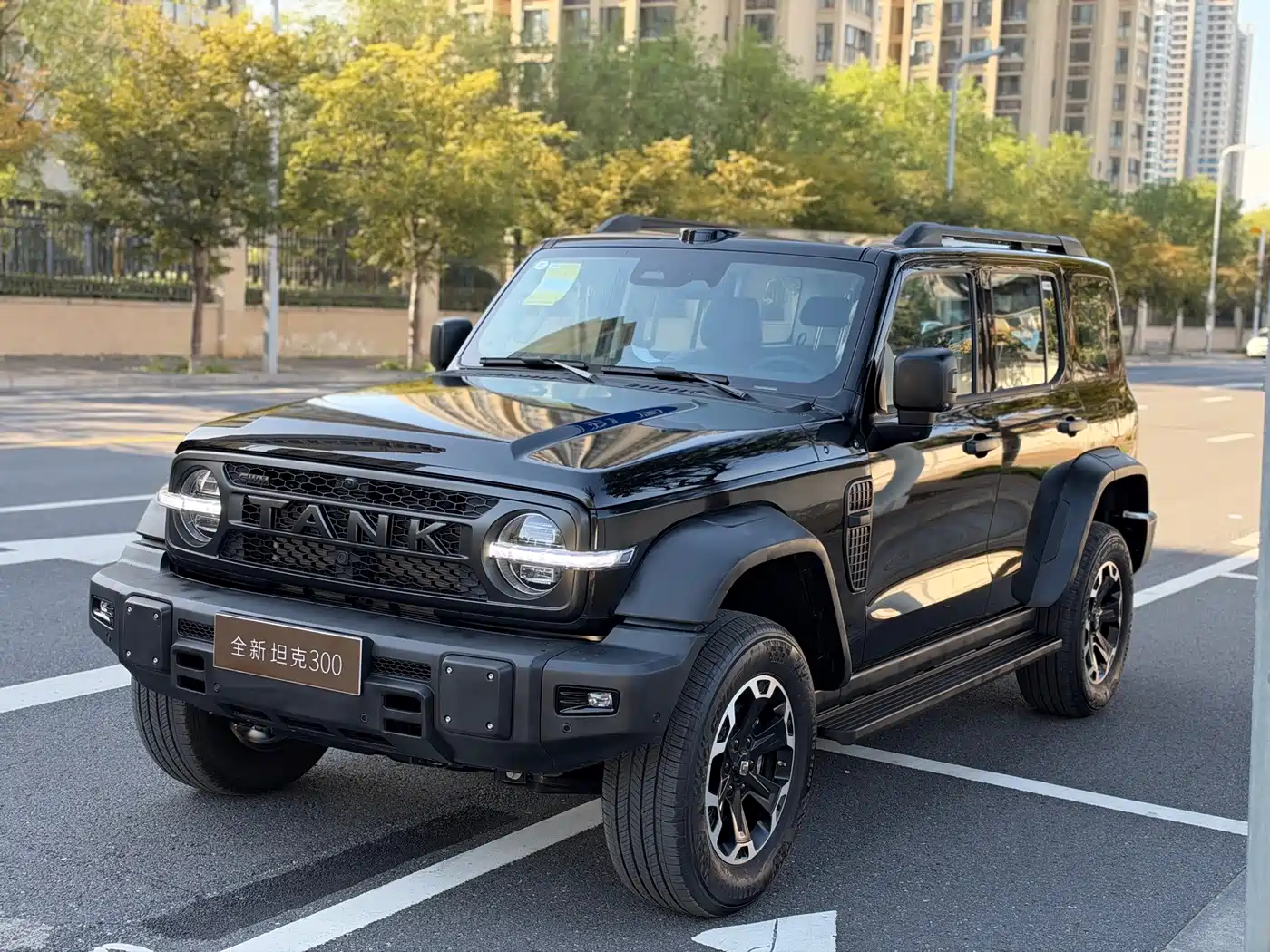 Tank 300L New Energy  — пригон из Китая