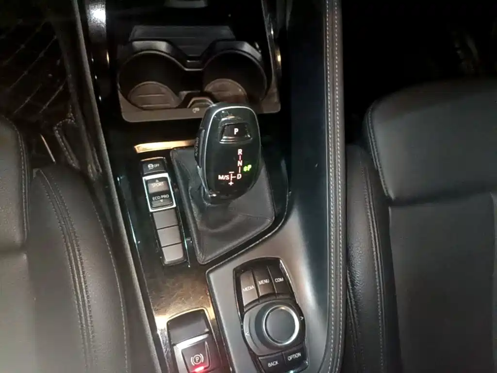 BMW X2 (Import) 2019 2019 sDrive20i M Off-Road Package China VI