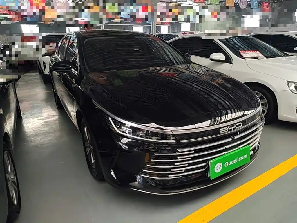 BYD Destroyer 05 2024 Glory Edition DM-i 55KM Luxury фото 4