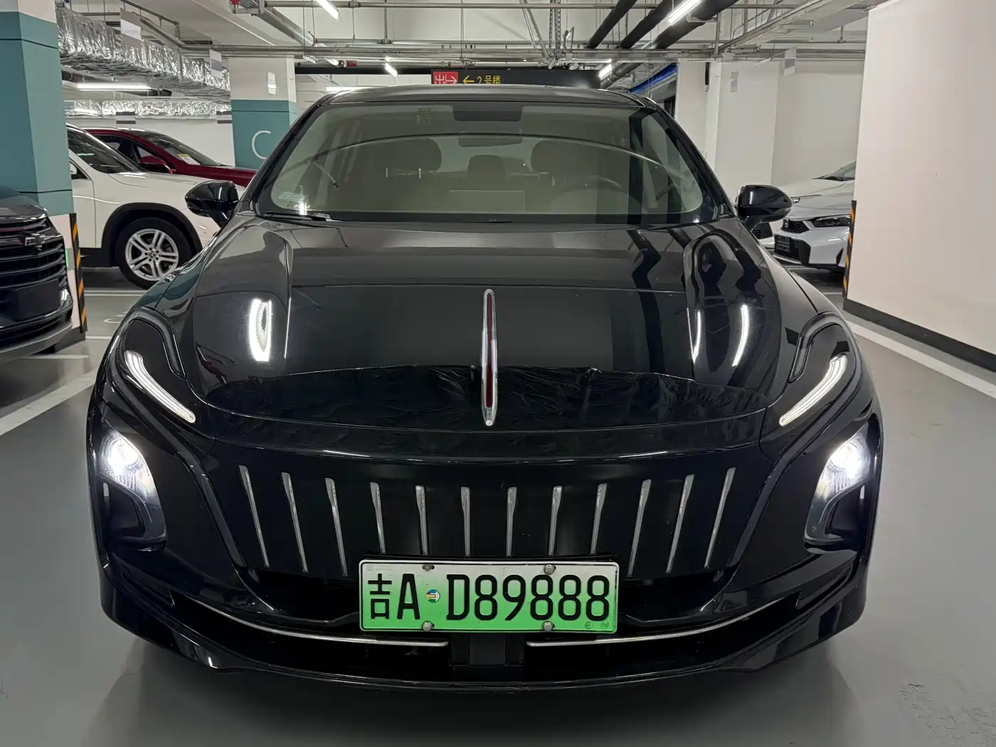 Hongqi E-QM5 2023 620km PLUS фото 2
