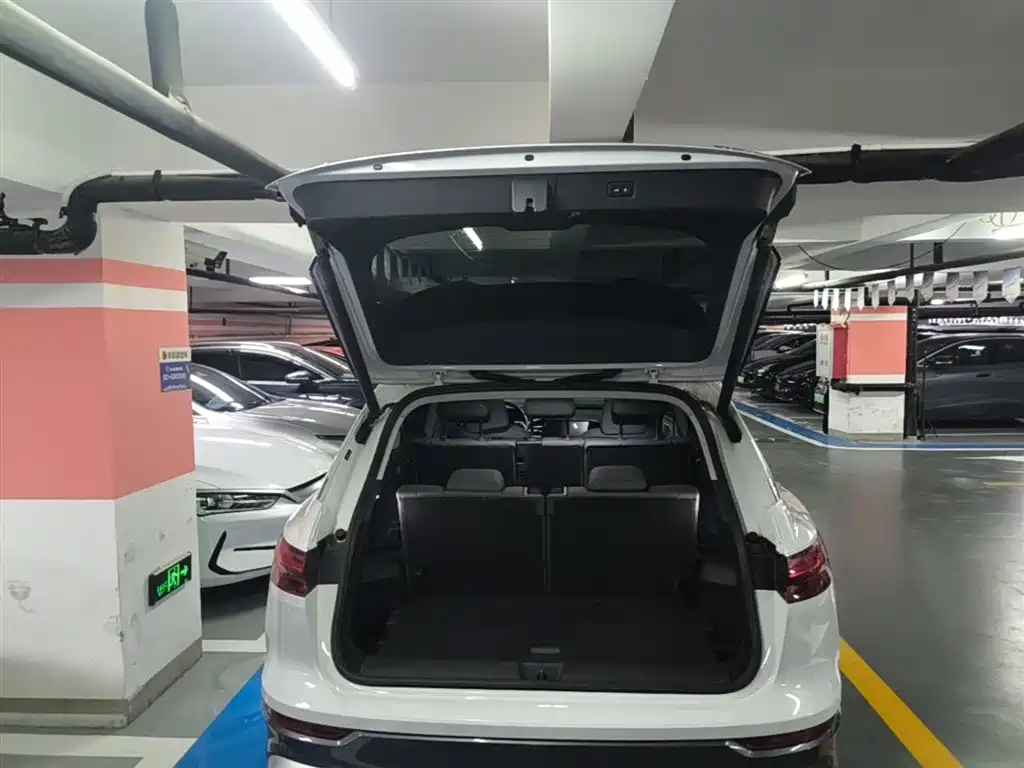 Audi Q5 e-tron 2022 40 e-tron Starlight Edition Brocade Package фото 19