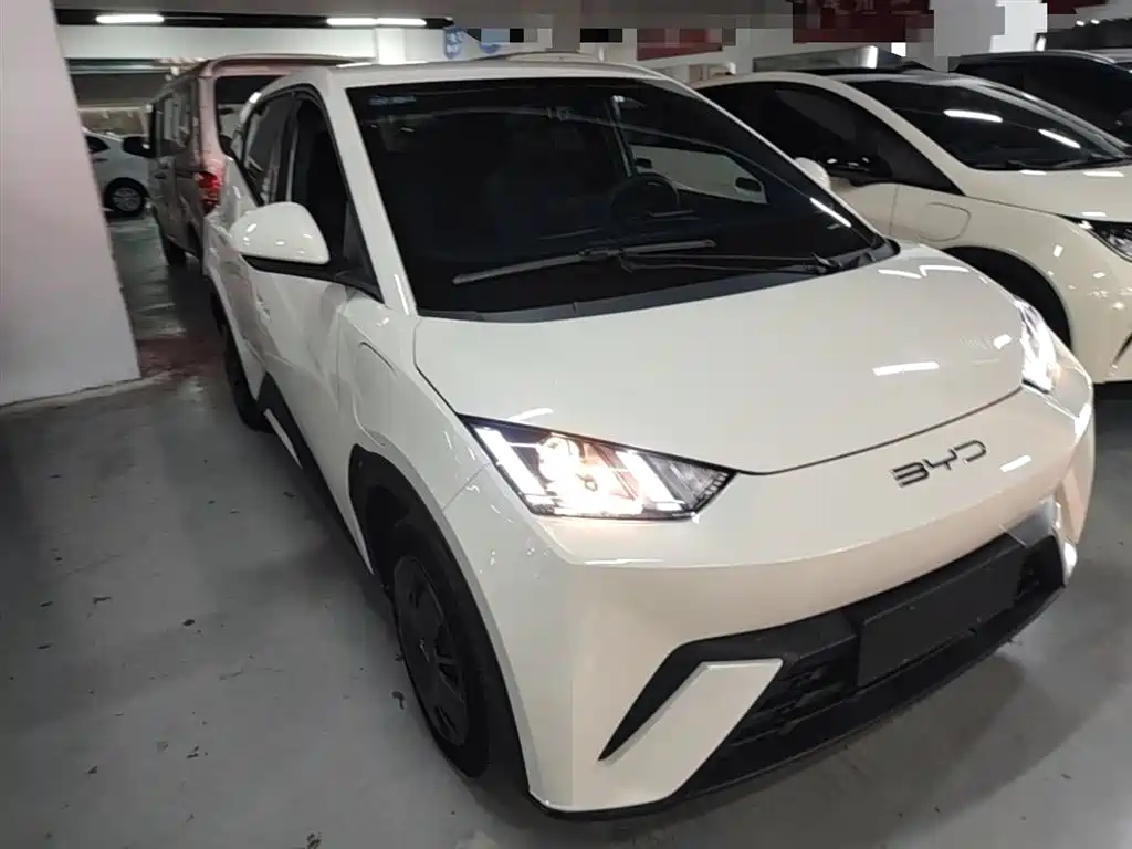 BYD Seagull 2023 Vitality Edition фото 4