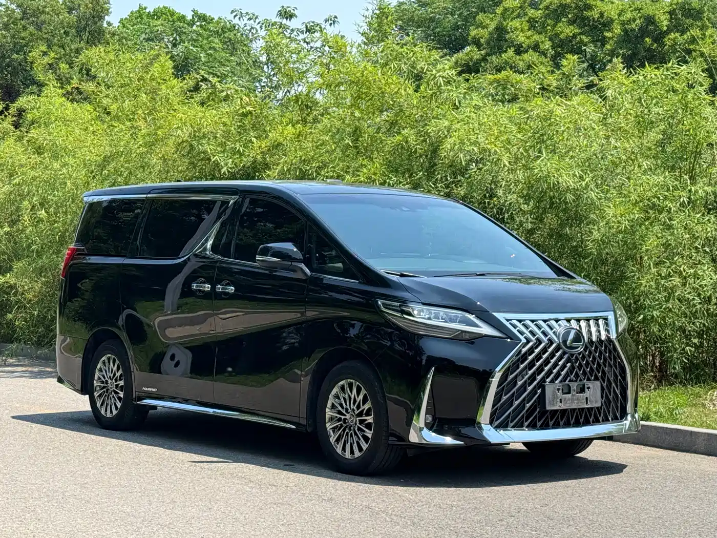 Lexus LM 2020 300h Seven-Seater Elegance Edition фото 3
