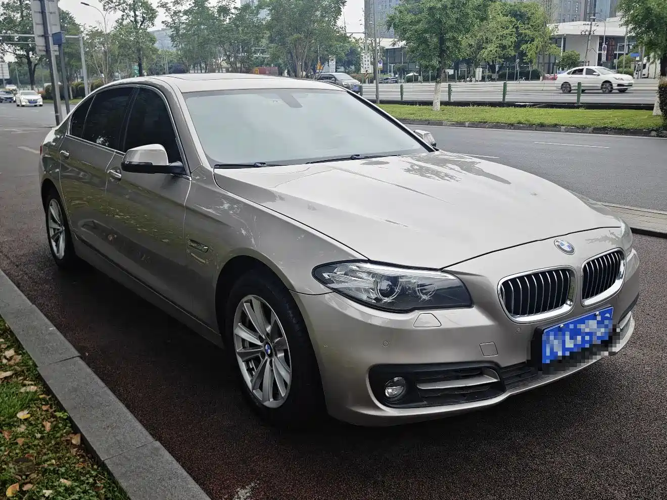 BMW 5 Series 2014 520Li Elegance фото 2