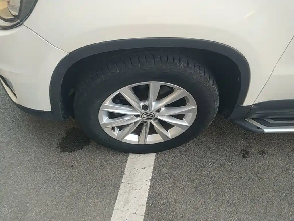 صورة 23 - Volkswagen Tiguan