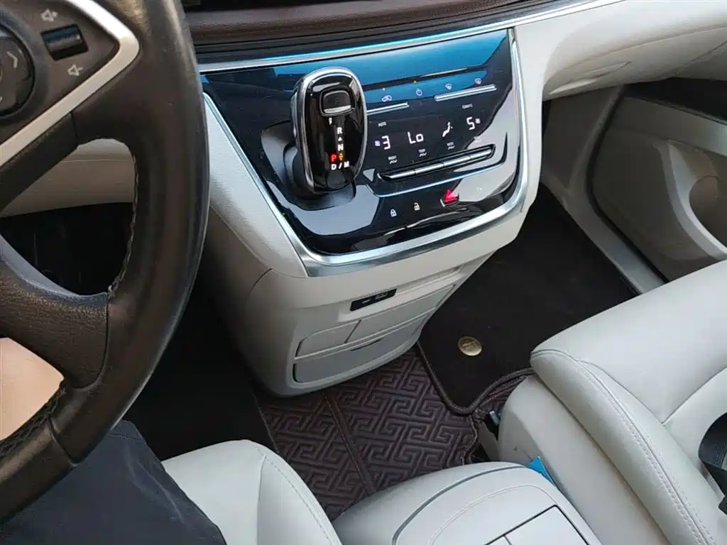 Buick GL8 2020 Model Land Business Class 652T Luxury фото 14