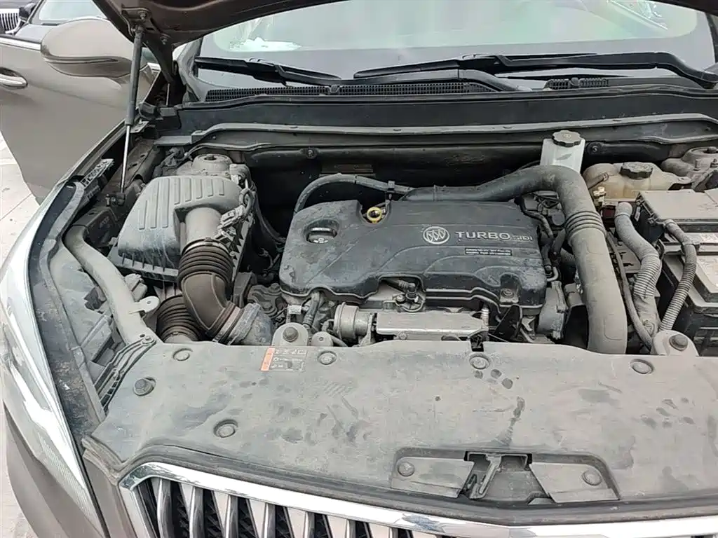 Buick Envision Plus 2016 20T 2WD Elite фото 21