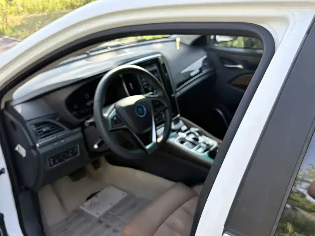 BYD Qin New Energy 2018 2018 Qin EV450 Smart Connection Trend Edition