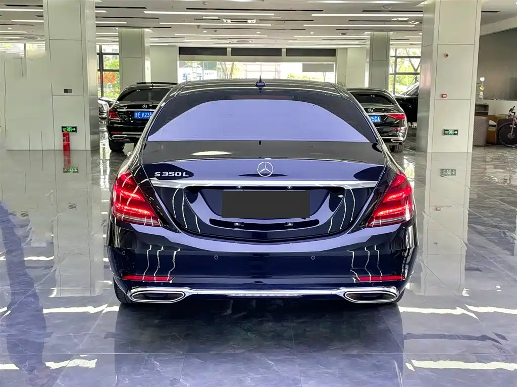 Mercedes-Benz S-Class 2020 S 350 L Premium Edition Collector's Version фото 6