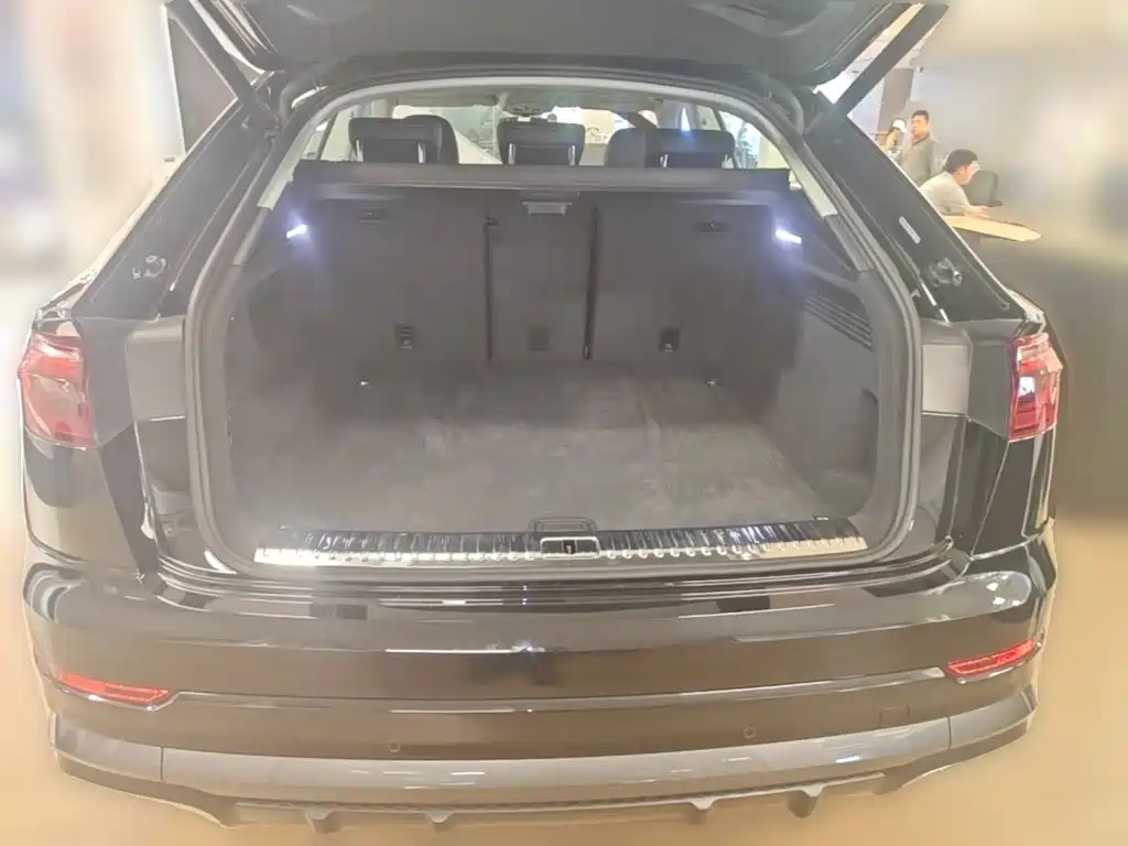 Audi Q8 2025 2024 55 TFSI Luxury Sport