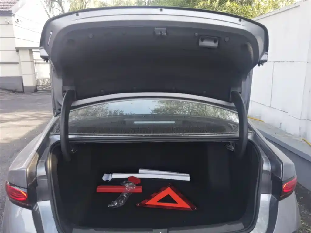 BYD Qin PLUS 2026 DM-i Smart Edition 128KM Progressive фото 19