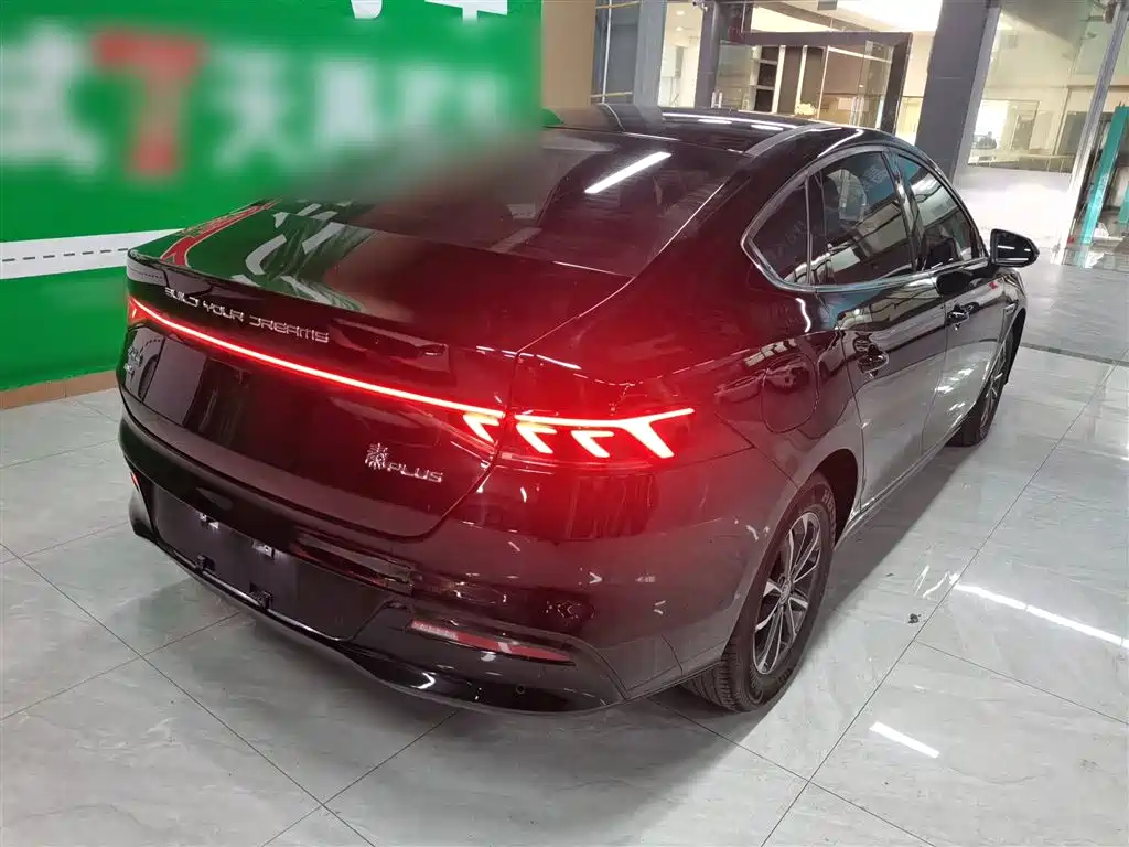 BYD Qin PLUS 2023 Champion Edition DM-i 55KM Leading фото 5