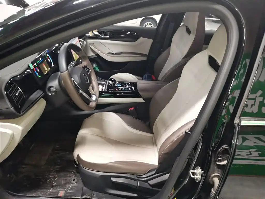 BYD Qin PLUS 2023 Champion Edition DM-i 55KM Leading фото 11